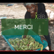 Proyecto agroturismo en Diembering