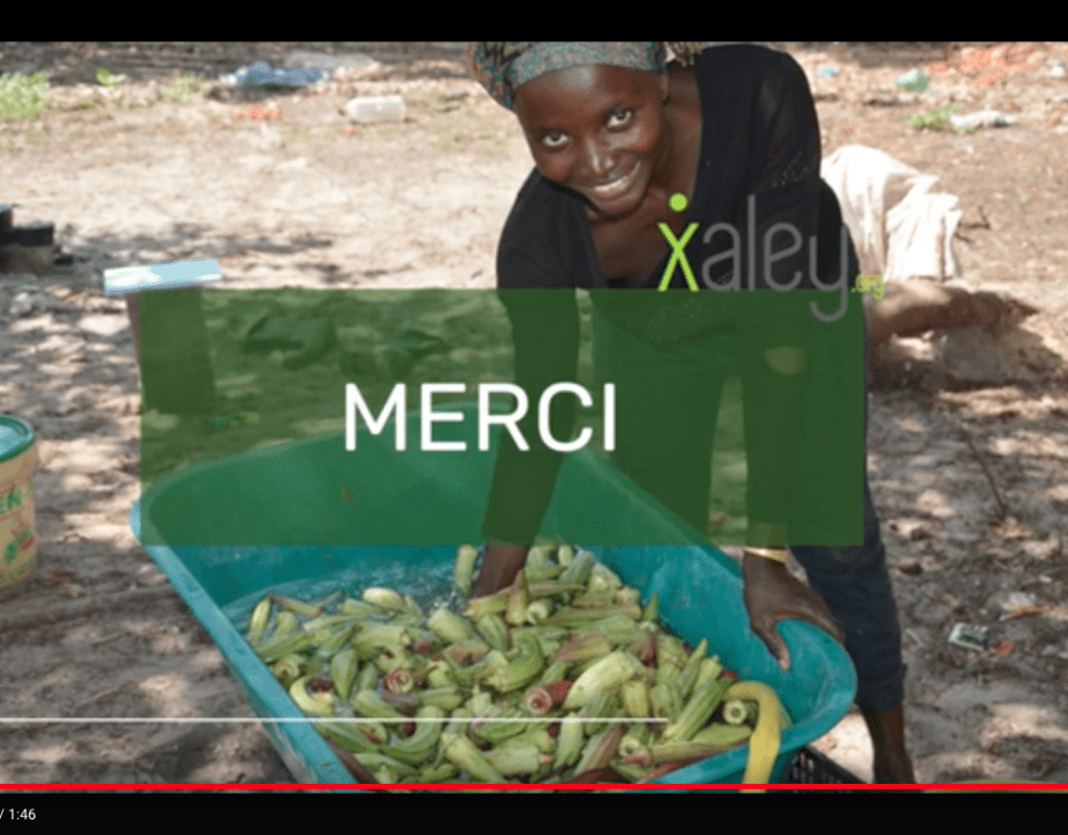 Proyecto agroturismo en Diembering